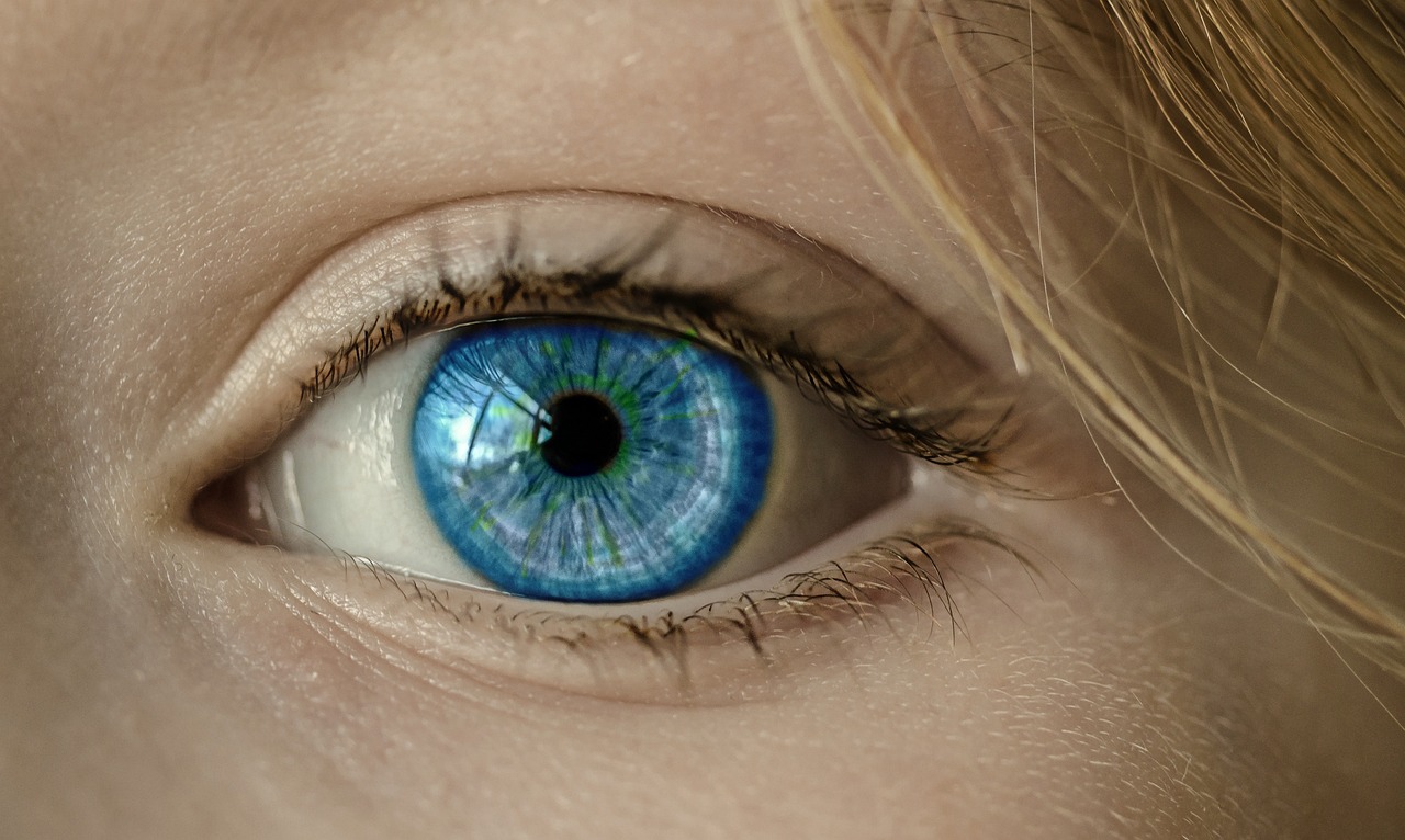 eye, blue eye, iris, pupil, eyeball, eyelashes, retina, eyesight, vision, look, looking, eyelid, face, close up, view, see, optics, eye, eye, eye, eye, eye